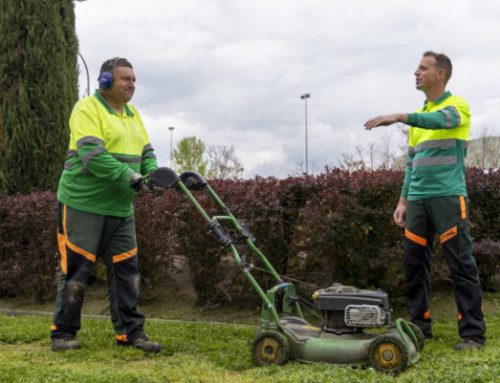 El CET contracta talent jove per ampliar oportunitats laborals